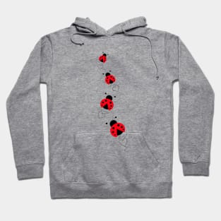 LADY Bug Love Happy Valentines Day. Hoodie